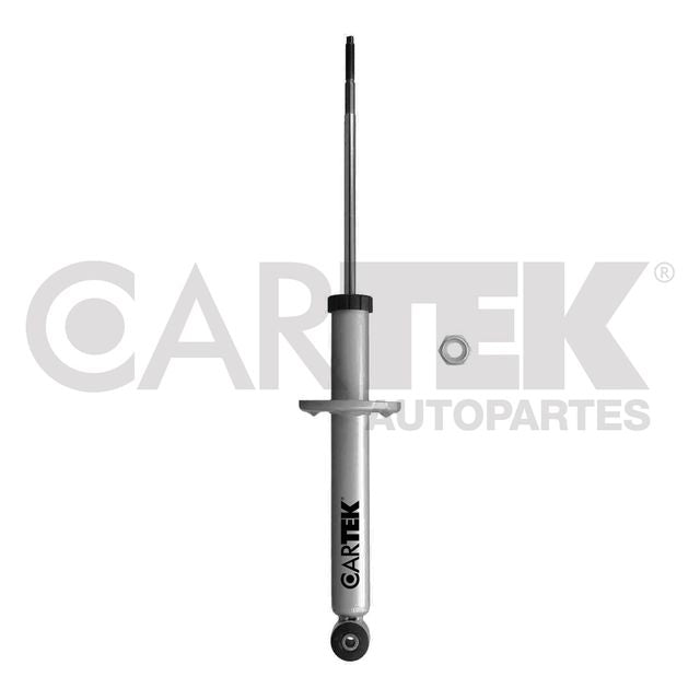 Amortiguador Cartek 382289
